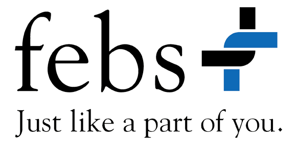 febs Consulting GmbH